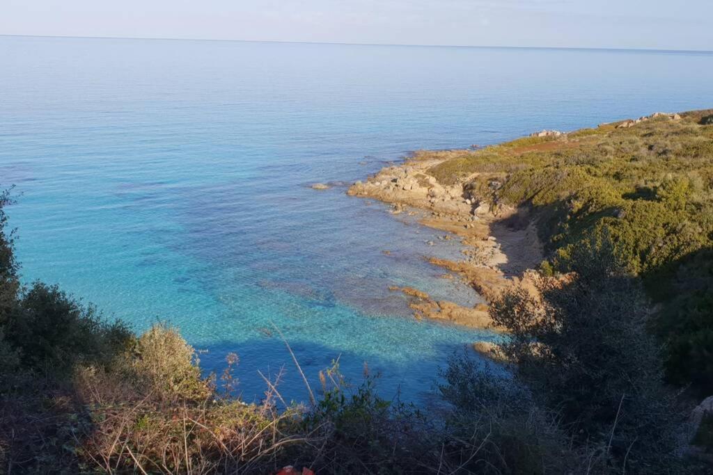 Monticello, Île-Rousse - Résidence Fiore di mare Extérieur photo